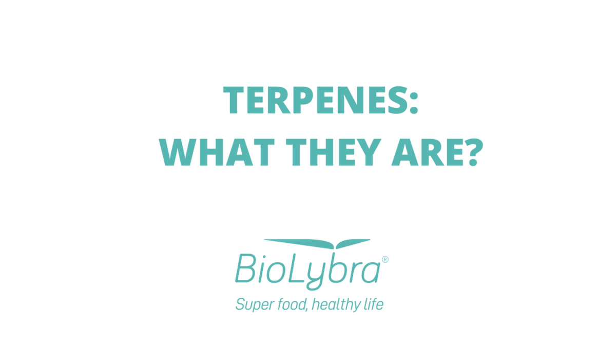 WHAT ARE TERPENES?